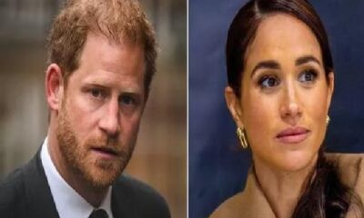 dislike or distrust Meghan Markle